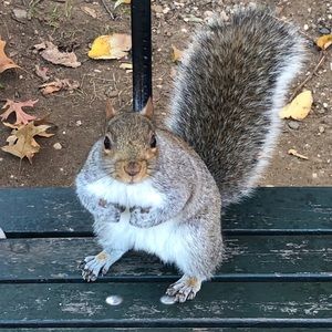 Meet your Posher, Tricia